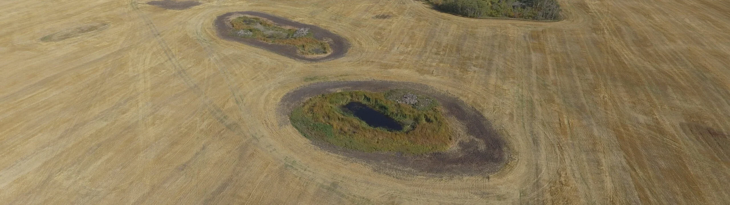 Aerial view of a farm field with several wetlands