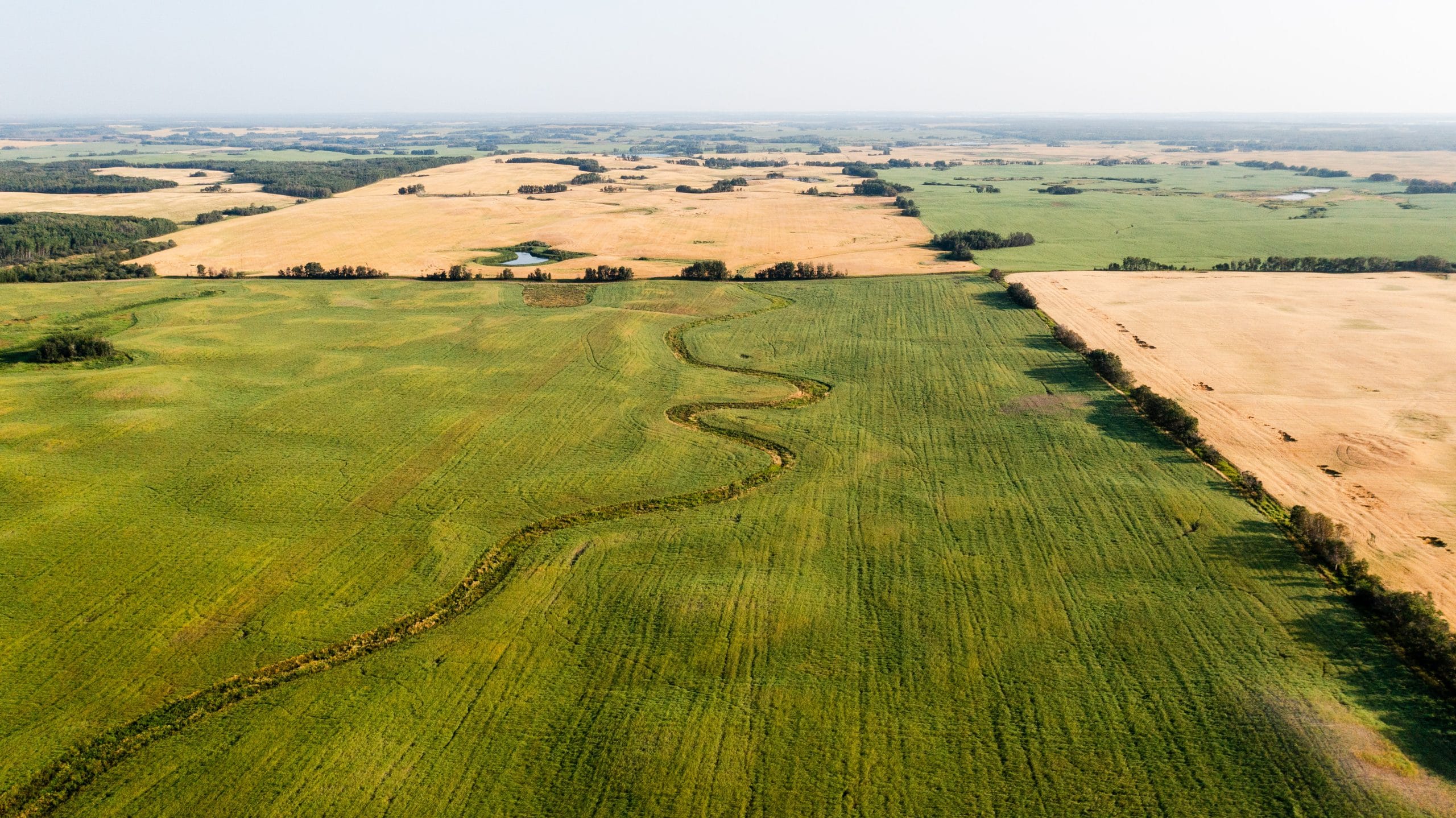 Aerial view of farm fields