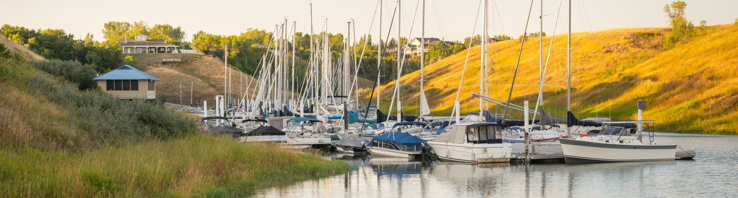 Dozens of boats floating in a marina