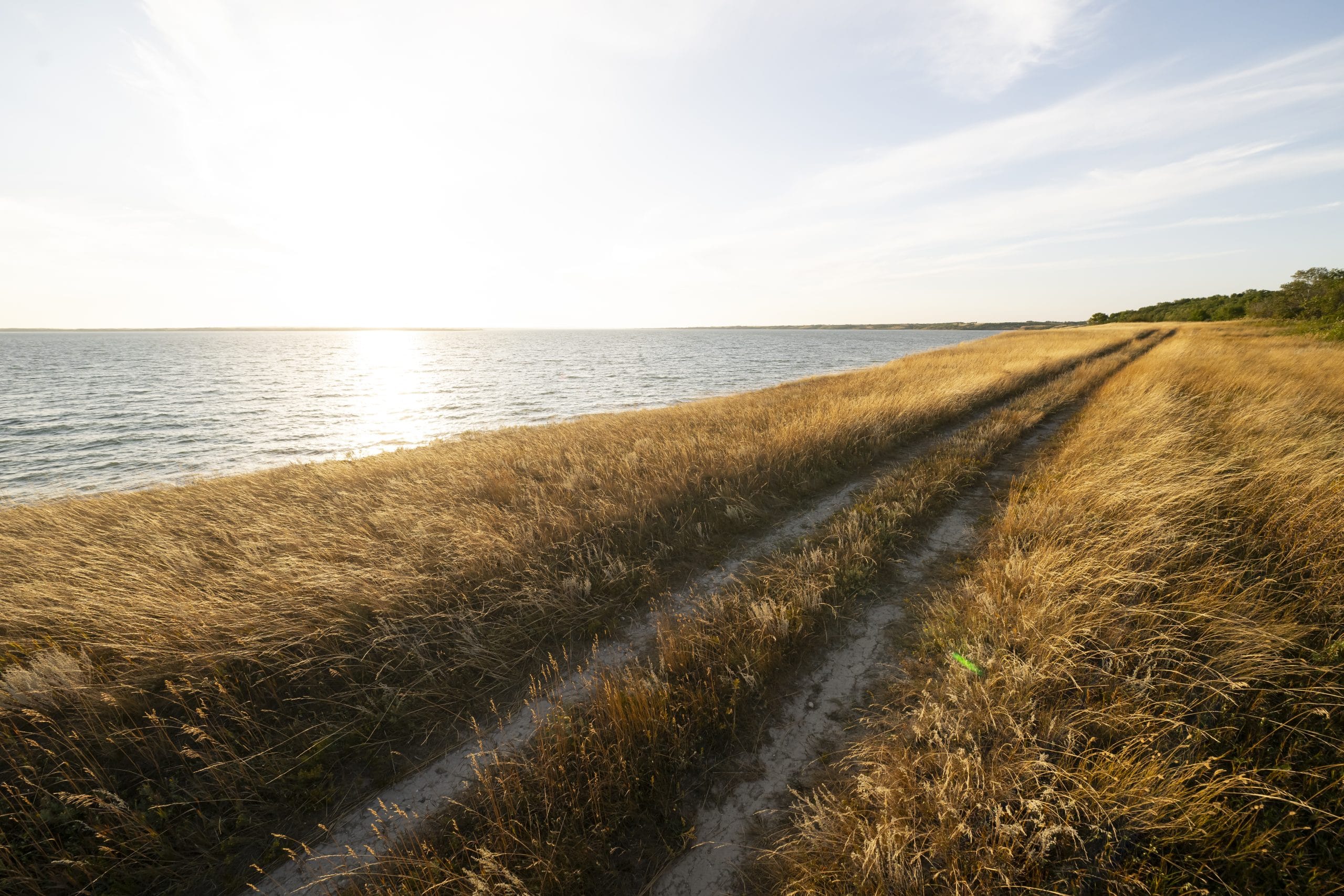 A farm field with vehicle tracks beside a lake