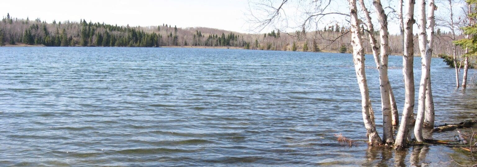 Flooded land beside a lake